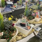 寄植え講座風景